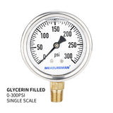 Measureman 2-1/2" Dial Size, Glycerin Filled Plumbing Pressure Gauge, 0-300psi, Stainless Steel Case, 1/4"NPT Lower Mount