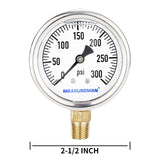 Measureman 2-1/2" Dial Size, Glycerin Filled Plumbing Pressure Gauge, 0-300psi, Stainless Steel Case, 1/4"NPT Lower Mount